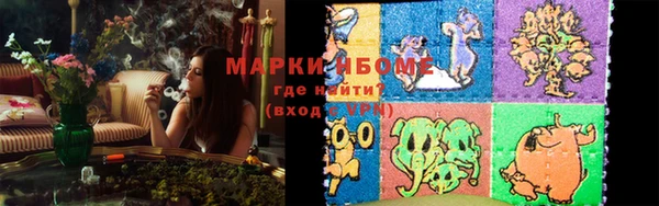 прущий лед Алзамай