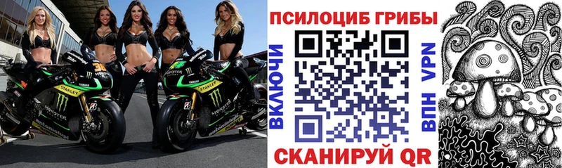 Галлюциногенные грибы мицелий где можно купить наркотик Малоархангельск